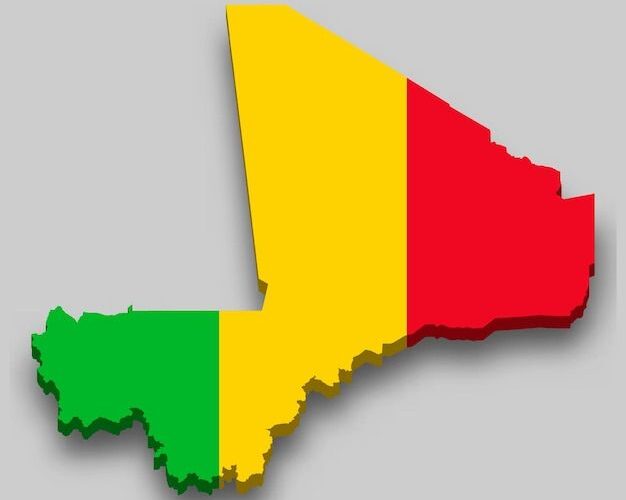 Mali : le FLA rejette l’étiquette de « terroriste », un débat qui divise chercheurs et acteurs politiques